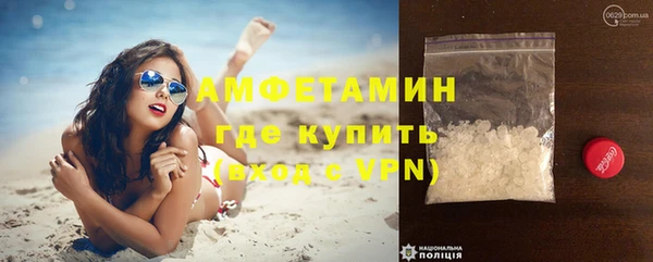 прущие грибы Богородицк