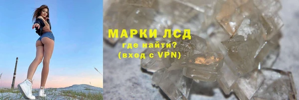 прущие грибы Богородицк