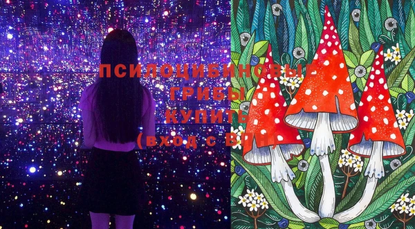 ешки Бугульма