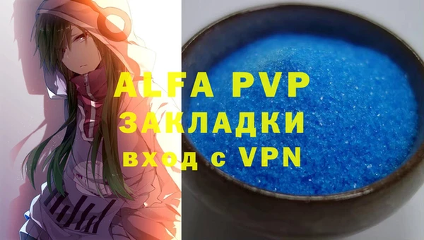 прущие грибы Богородицк